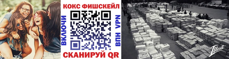 Cocaine Эквадор  как найти закладки  KRAKEN как зайти  Кологрив 