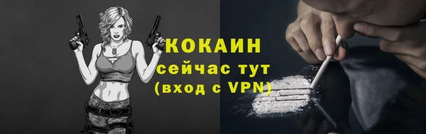 винт Богданович
