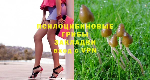 эйфоретик Богородицк