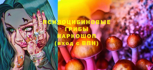 эйфоретик Богородицк