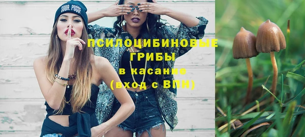 винт Богданович