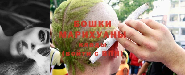 винт Богданович