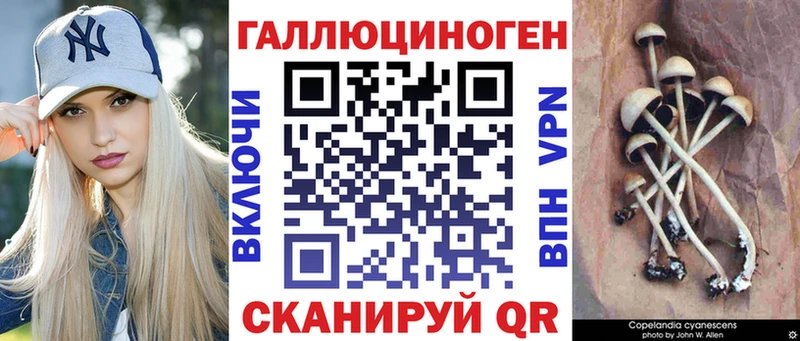 MEGA ссылки  это телеграм  Псилоцибиновые грибы мицелий  Кологрив 